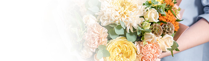 חנות פרחים חיפה חנות פרחים בחיפה