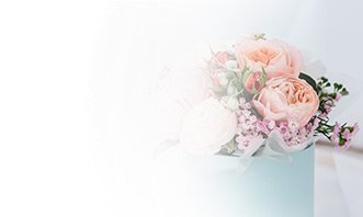 משלוח פרחים חיפה משלוח פרחים בחיפה