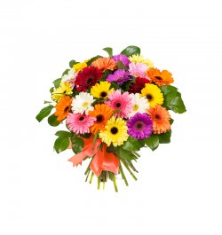 זר קשת אביבי