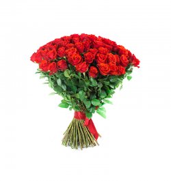 יח 51זר אלף נשיקות