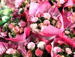 הזמנות פרחים אונליין