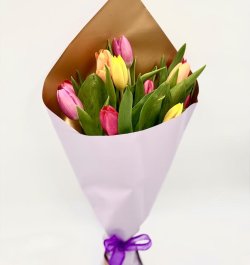 זר 11טוליפ אביבי