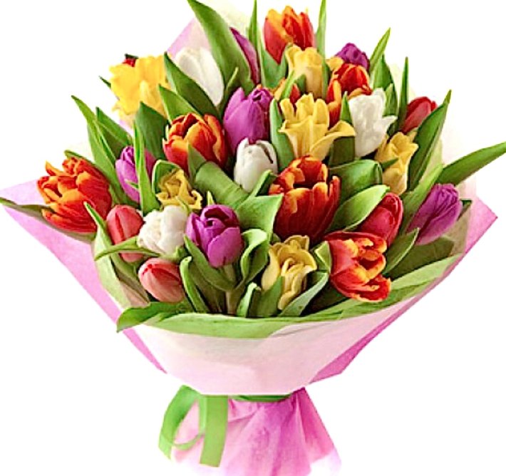 זר עשיר של פרחי צבעונים במגוון צבעים: אדום, צהוב, סגול ולבן, עטוף בנייר ורוד עדין עם עלים ירוקים להשלמת המראה החגיגי