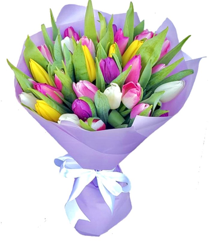 זר צבעונים מרשים בגווני ורוד, סגול, צהוב ולבן, עטוף בנייר סגול עדין עם עלים ירוקים להשלמת המראה האלגנטי