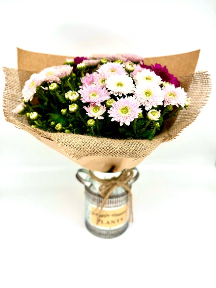 WhatsApp Image 2026-01-22 at 11.53.13